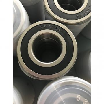 SKF 6009-2RS1/C4LGJN  Single Row Ball Bearings