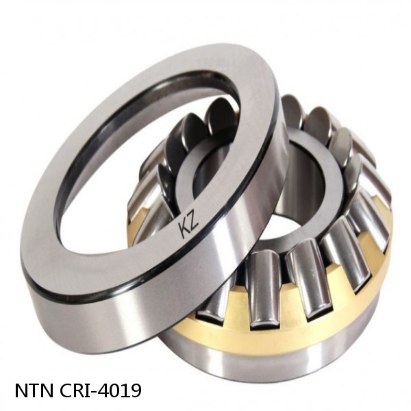 CRI-4019 NTN Cylindrical Roller Bearing
