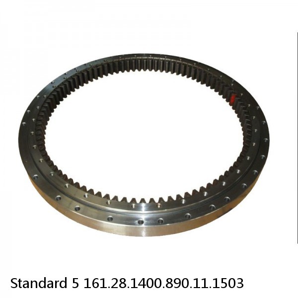 161.28.1400.890.11.1503 Standard 5 Slewing Ring Bearings