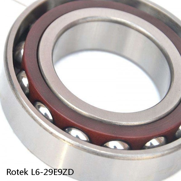 L6-29E9ZD Rotek Slewing Ring Bearings