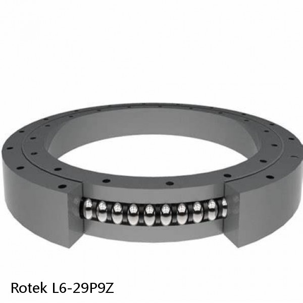 L6-29P9Z Rotek Slewing Ring Bearings