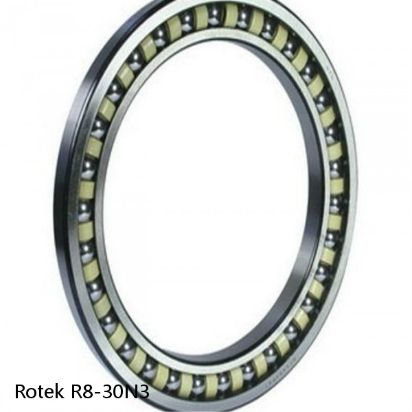 R8-30N3 Rotek Slewing Ring Bearings