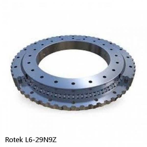 L6-29N9Z Rotek Slewing Ring Bearings