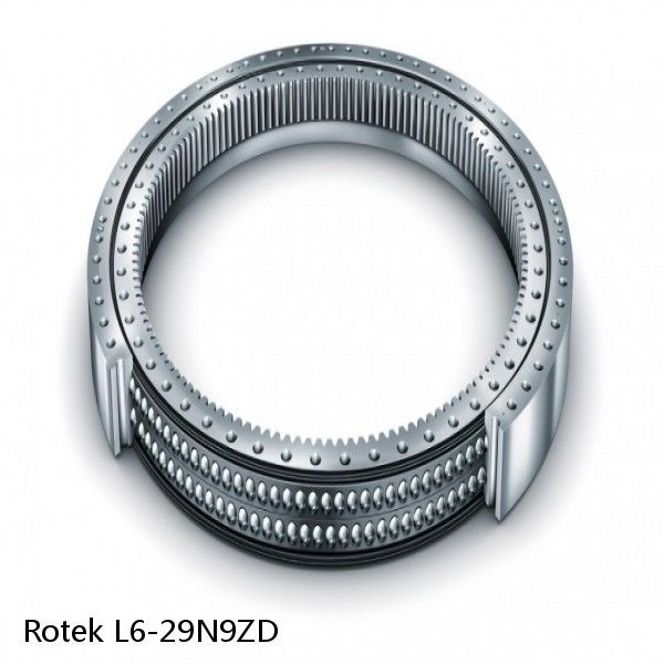 L6-29N9ZD Rotek Slewing Ring Bearings