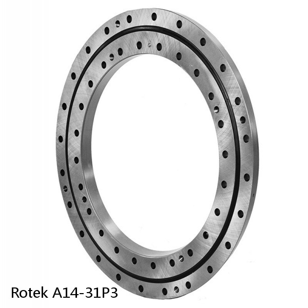 A14-31P3 Rotek Slewing Ring Bearings