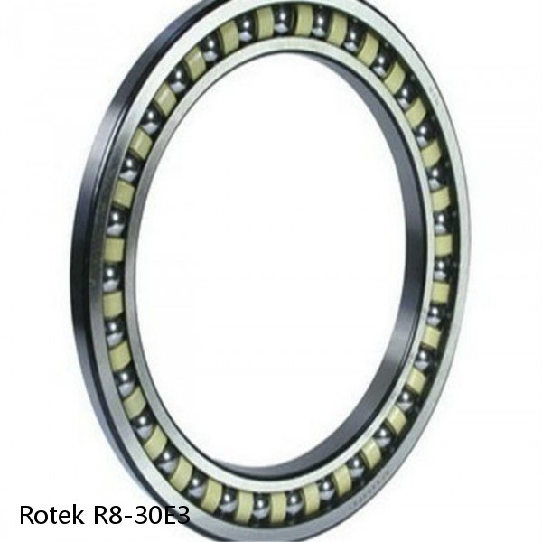 R8-30E3 Rotek Slewing Ring Bearings