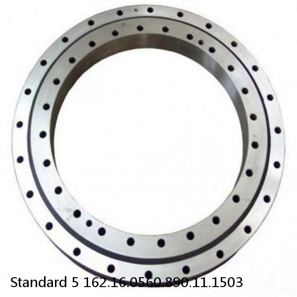 162.16.0560.890.11.1503 Standard 5 Slewing Ring Bearings