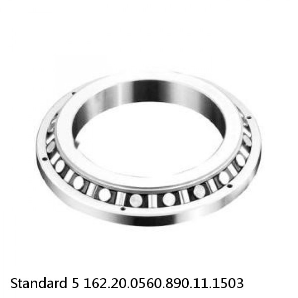 162.20.0560.890.11.1503 Standard 5 Slewing Ring Bearings