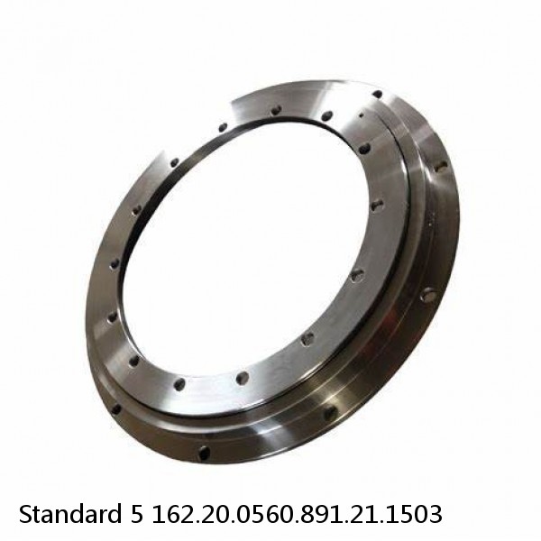 162.20.0560.891.21.1503 Standard 5 Slewing Ring Bearings