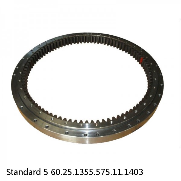 60.25.1355.575.11.1403 Standard 5 Slewing Ring Bearings