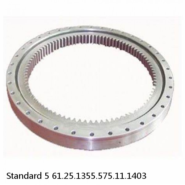 61.25.1355.575.11.1403 Standard 5 Slewing Ring Bearings