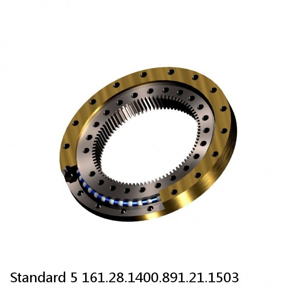 161.28.1400.891.21.1503 Standard 5 Slewing Ring Bearings